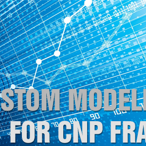 Modeling & Analytics for CNP Fraud Management